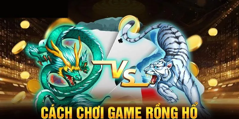 Cách Chơi Rồng Hổ - Chia Sẻ 3 Mẹo Hay Từ Chuyên Gia J88 4 Cách chơi Dragon Tiger dễ thắng dành riêng cho newbie